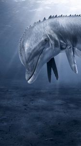 Preview wallpaper dolphin, underwater, swim, bottom