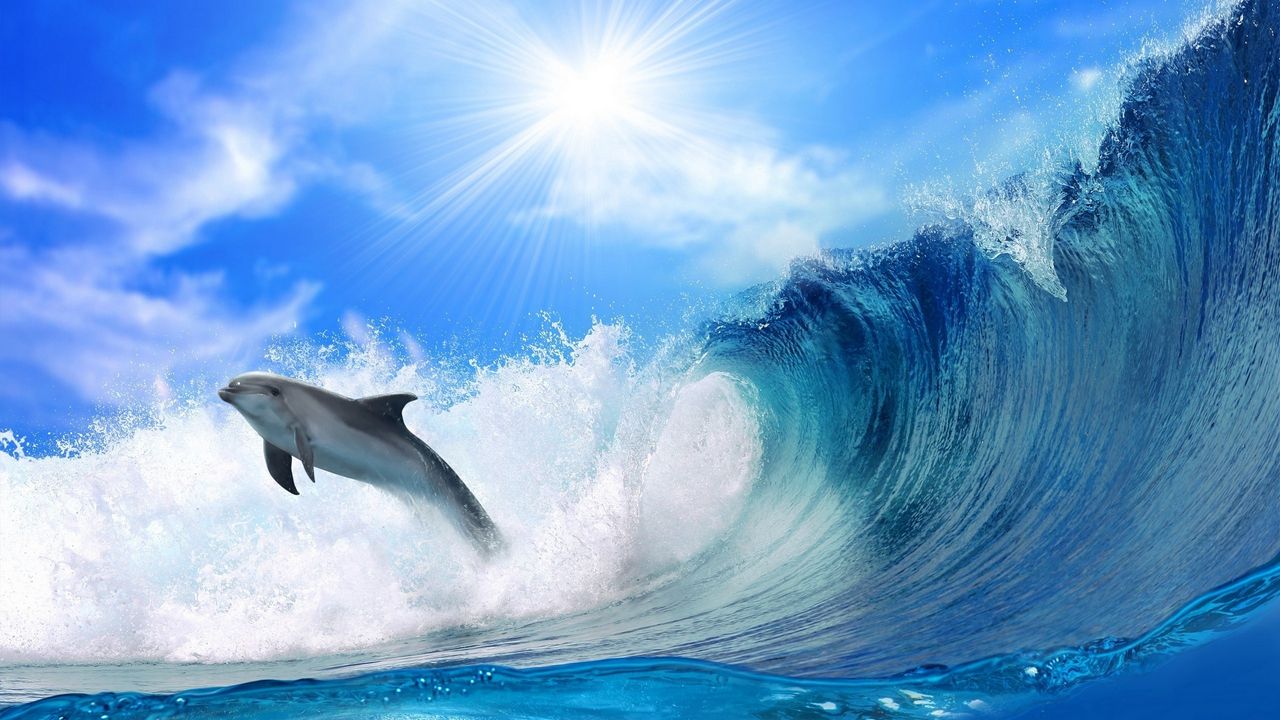 Wallpaper dolphin, waves, light, jump