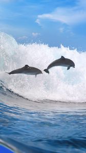 Preview wallpaper dolphins, ocean, wave, freedom
