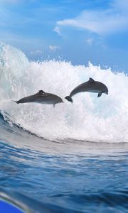 Preview wallpaper dolphins, ocean, wave, freedom