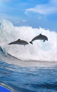 Preview wallpaper dolphins, ocean, wave, freedom