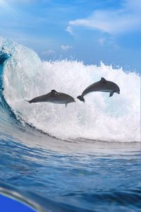 Preview wallpaper dolphins, ocean, wave, freedom