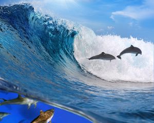 Preview wallpaper dolphins, ocean, wave, freedom