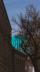 Preview wallpaper dome, roof, architecture, building, bright, tree
