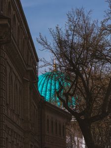 Preview wallpaper dome, roof, architecture, building, bright, tree