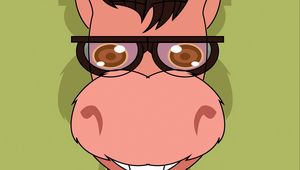 Preview wallpaper donkey, art, glasses, sweater, vector