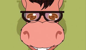 Preview wallpaper donkey, art, glasses, sweater, vector