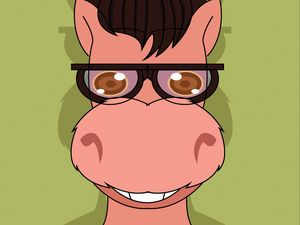 Preview wallpaper donkey, art, glasses, sweater, vector