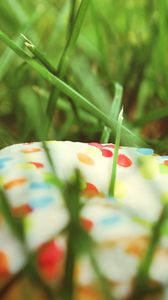 Preview wallpaper donut, sprinkling, colorful, grass