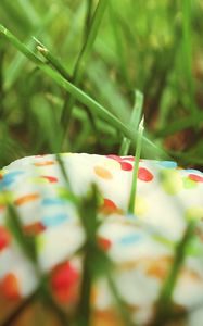 Preview wallpaper donut, sprinkling, colorful, grass