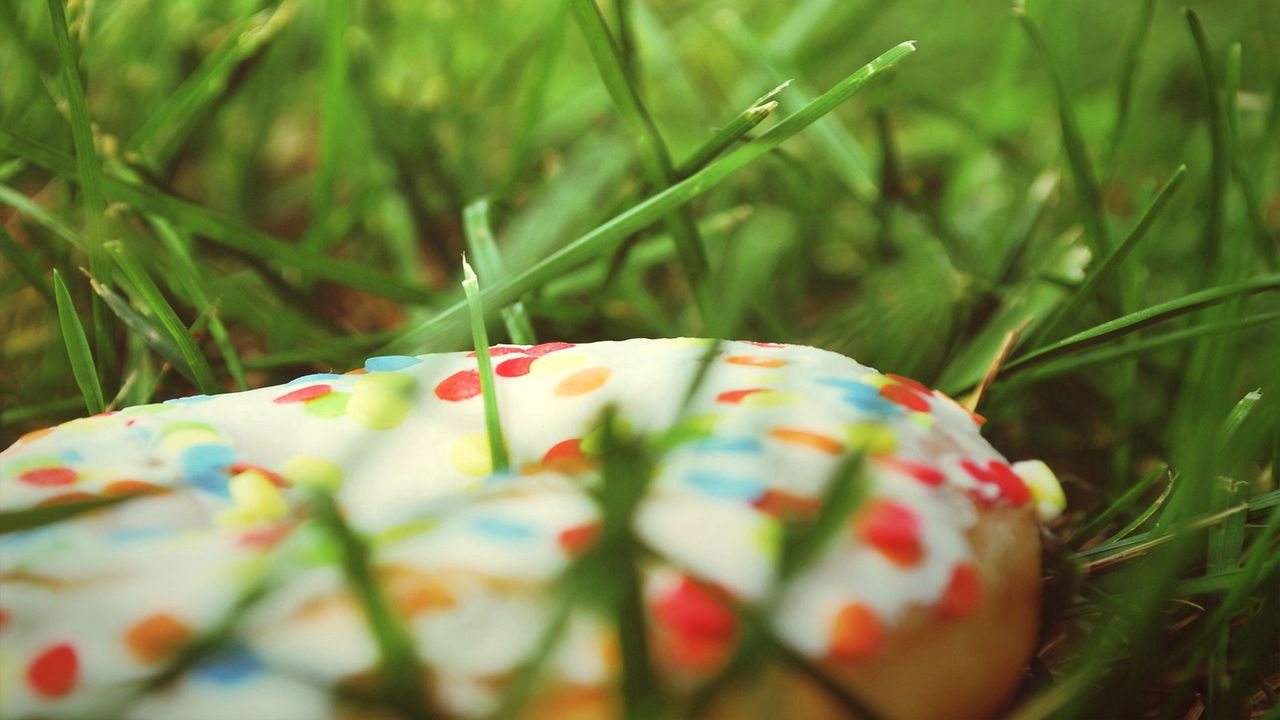 Wallpaper donut, sweet, grass, batch