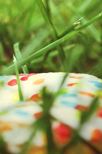 Preview wallpaper donut, sweet, grass, batch