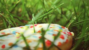 Preview wallpaper donut, sweet, grass, batch