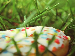 Preview wallpaper donut, sweet, grass, batch