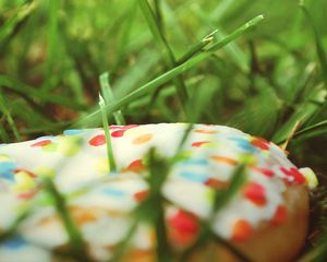 Preview wallpaper donut, sweet, grass, batch