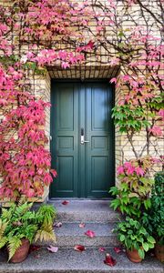 Preview wallpaper door, autumn, stairs, plants