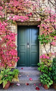 Preview wallpaper door, autumn, stairs, plants