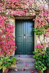Preview wallpaper door, autumn, stairs, plants