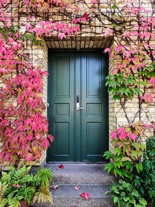 Preview wallpaper door, autumn, stairs, plants