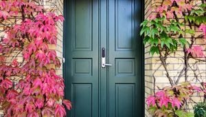 Preview wallpaper door, autumn, stairs, plants