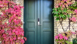 Preview wallpaper door, autumn, stairs, plants