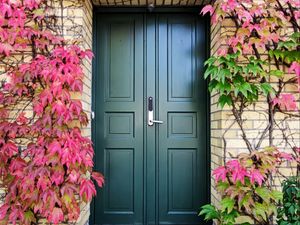 Preview wallpaper door, autumn, stairs, plants