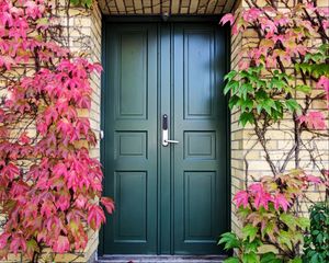 Preview wallpaper door, autumn, stairs, plants