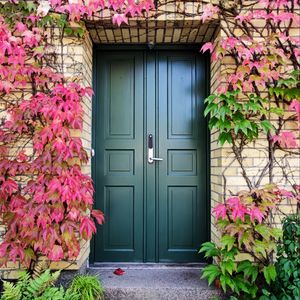 Preview wallpaper door, autumn, stairs, plants