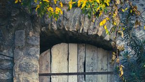 Preview wallpaper door, boards, leaves, branches