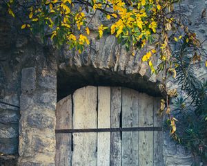 Preview wallpaper door, boards, leaves, branches