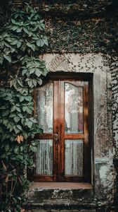 Preview wallpaper door, ivy, plant, entrance, wooden, glass