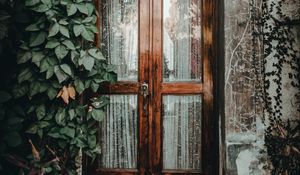 Preview wallpaper door, ivy, plant, entrance, wooden, glass