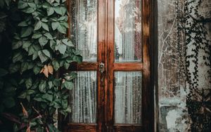 Preview wallpaper door, ivy, plant, entrance, wooden, glass