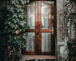 Preview wallpaper door, ivy, plant, entrance, wooden, glass