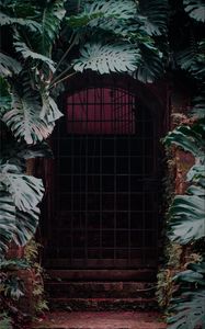 Preview wallpaper door, lattice, plant, monstera, leaves