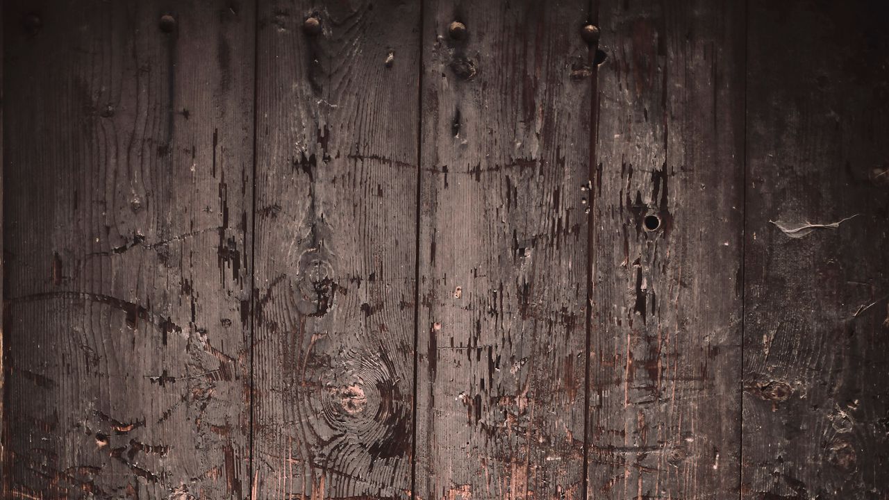 Wallpaper door, scratches, wooden, surface
