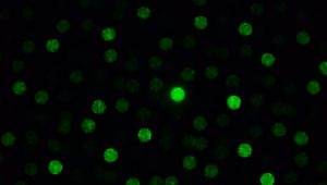 Preview wallpaper dots, glare, bokeh, green, black, dark