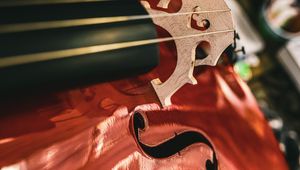 Preview wallpaper double bass, strings, musical instrument, music