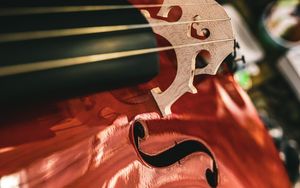 Preview wallpaper double bass, strings, musical instrument, music