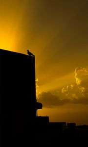 Preview wallpaper dove, bird, building, silhouette, black