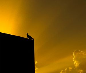 Preview wallpaper dove, bird, building, silhouette, black