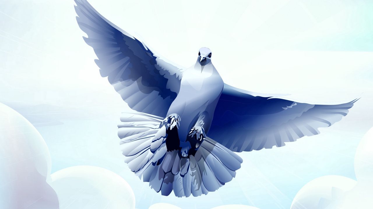 Wallpaper dove, bird, feather, fly, swing