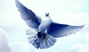 Preview wallpaper dove, bird, feather, fly, swing