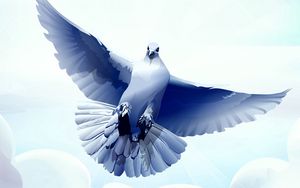 Preview wallpaper dove, bird, feather, fly, swing