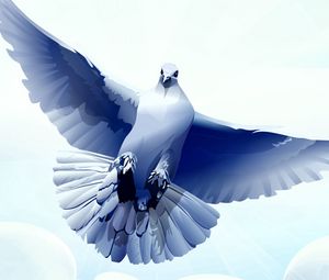 Preview wallpaper dove, bird, feather, fly, swing