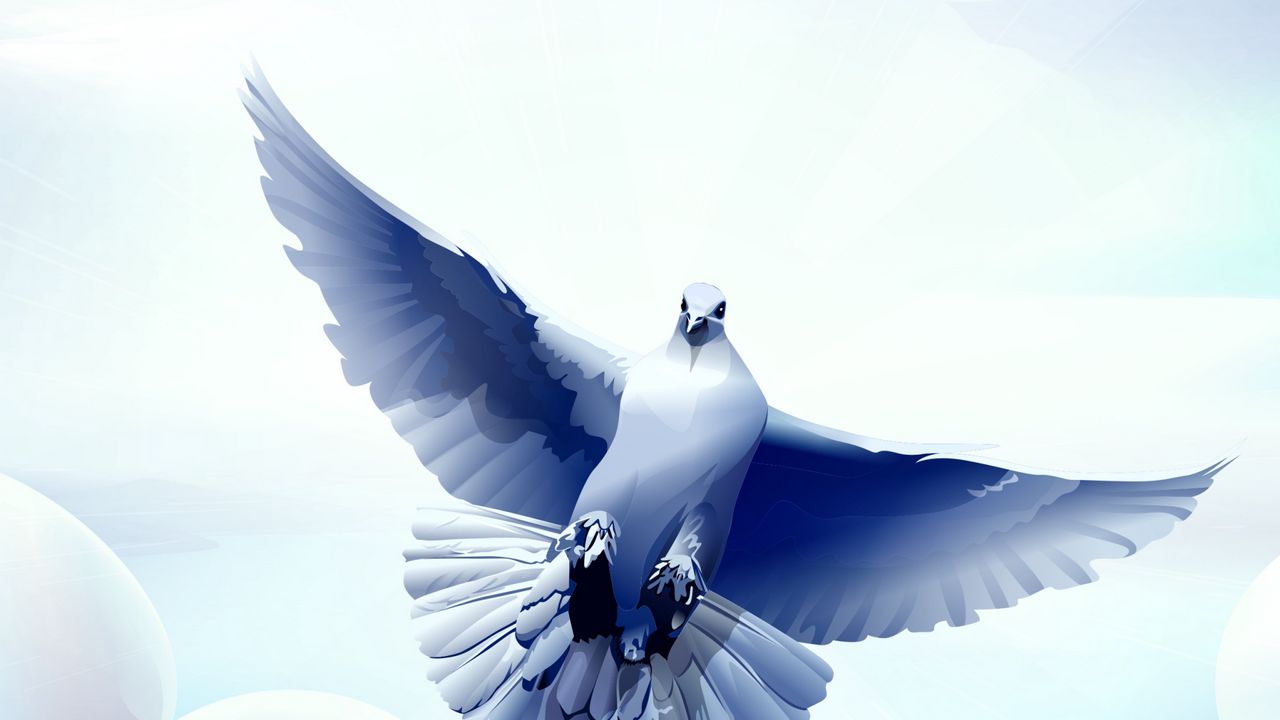 Wallpaper dove, bird, flying, vector