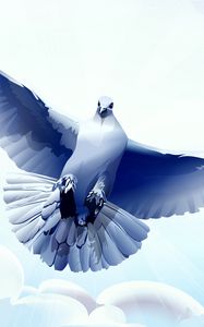 Preview wallpaper dove, bird, flying, vector