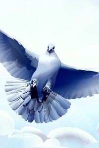 Preview wallpaper dove, bird, flying, vector