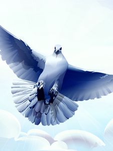 Preview wallpaper dove, bird, flying, vector