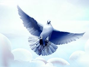 Preview wallpaper dove, bird, flying, vector